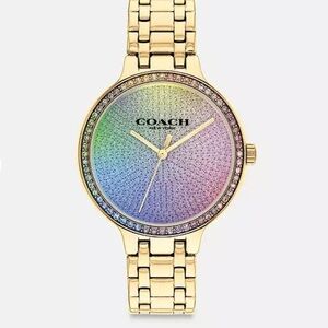 Coach Josie Watch, New